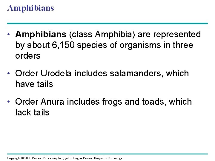 Amphibians • Amphibians (class Amphibia) are represented by about 6, 150 species of organisms