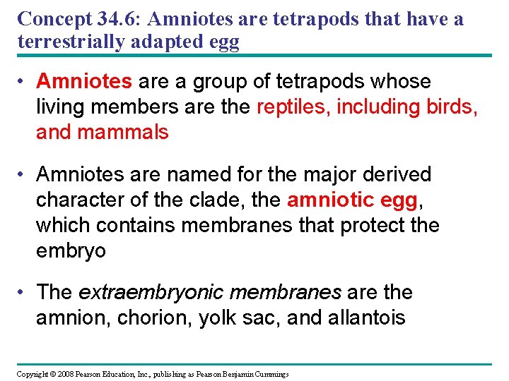 Concept 34. 6: Amniotes are tetrapods that have a terrestrially adapted egg • Amniotes