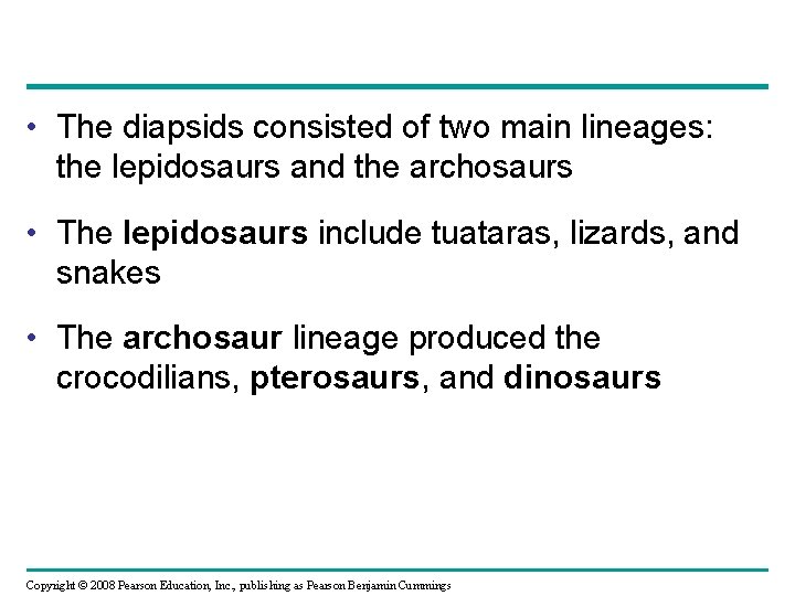  • The diapsids consisted of two main lineages: the lepidosaurs and the archosaurs