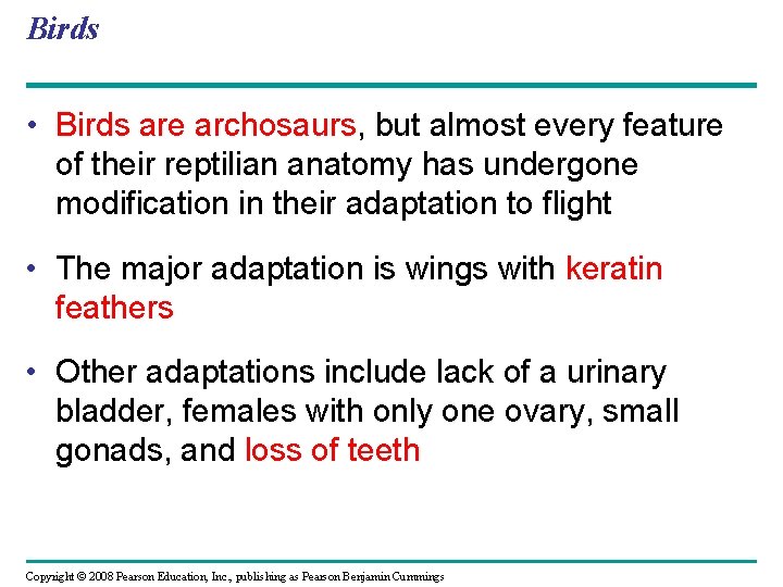 Birds • Birds are archosaurs, but almost every feature of their reptilian anatomy has