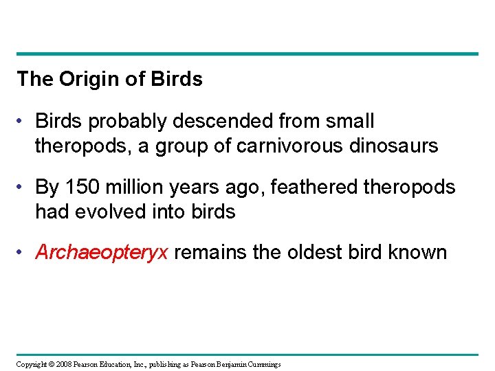 The Origin of Birds • Birds probably descended from small theropods, a group of