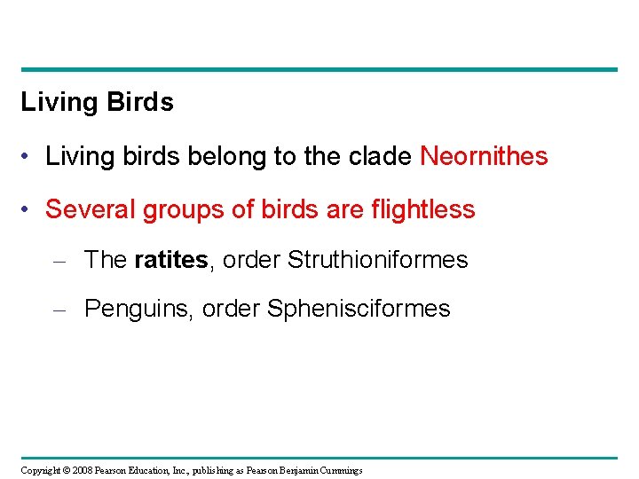 Living Birds • Living birds belong to the clade Neornithes • Several groups of