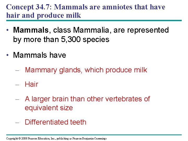 Concept 34. 7: Mammals are amniotes that have hair and produce milk • Mammals,