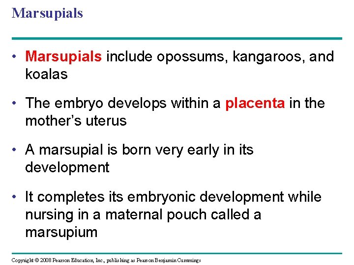 Marsupials • Marsupials include opossums, kangaroos, and koalas • The embryo develops within a