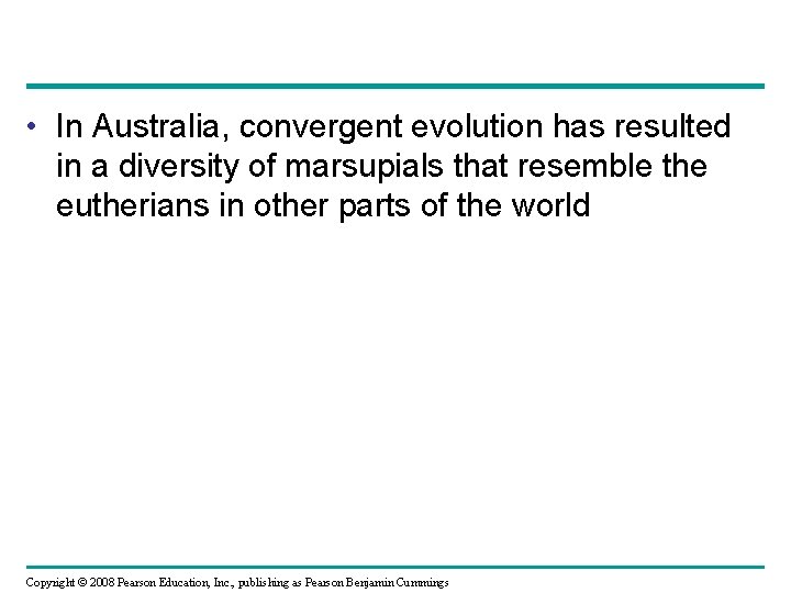  • In Australia, convergent evolution has resulted in a diversity of marsupials that