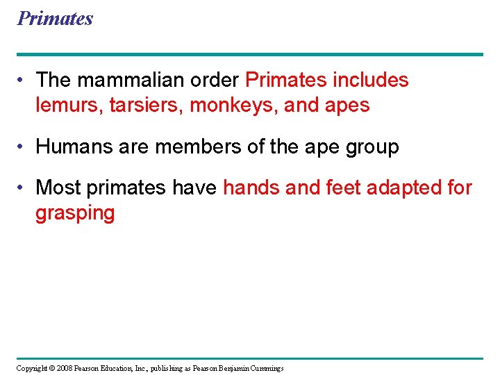 Primates • The mammalian order Primates includes lemurs, tarsiers, monkeys, and apes • Humans