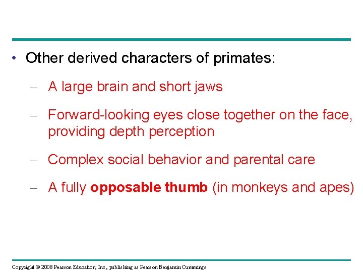  • Other derived characters of primates: – A large brain and short jaws