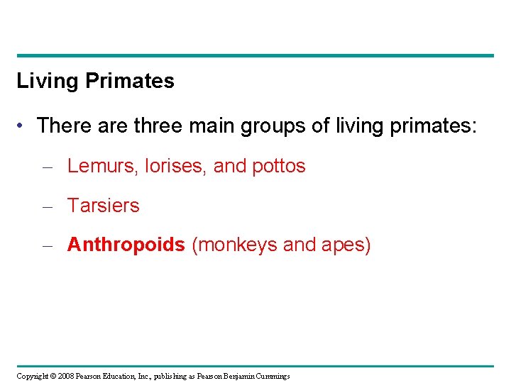 Living Primates • There are three main groups of living primates: – Lemurs, lorises,