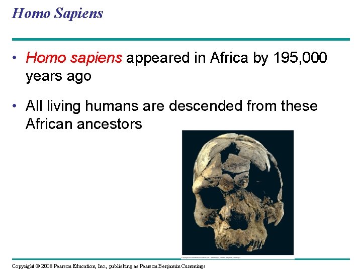 Homo Sapiens • Homo sapiens appeared in Africa by 195, 000 years ago •