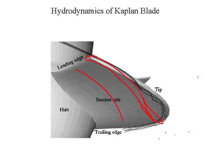 Hydrodynamics of Kaplan Blade 