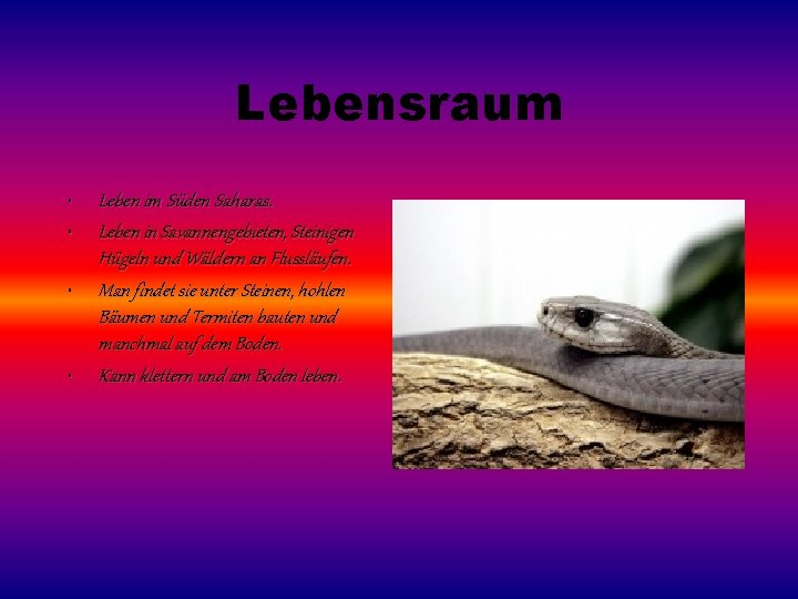 Lebensraum • • Leben im Süden Saharas. Leben in Savannengebieten, Steinigen Hügeln und Wäldern