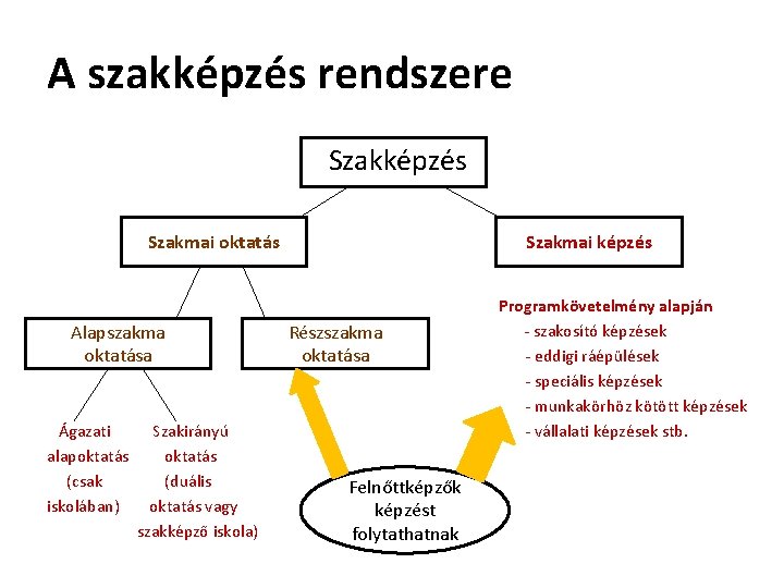 A szakképzés rendszere Szakképzés Szakmai oktatás Alapszakma oktatása Ágazati alapoktatás (csak iskolában) Szakirányú oktatás A szakképzés rendszere Szakképzés Szakmai oktatás Alapszakma oktatása Ágazati alapoktatás (csak iskolában) Szakirányú oktatás