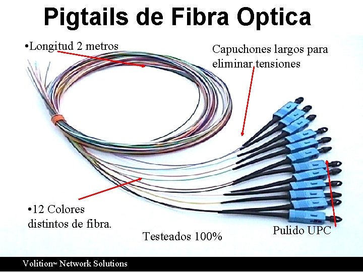 Pigtails de Fibra Optica • Longitud 2 metros • 12 Colores distintos de fibra.