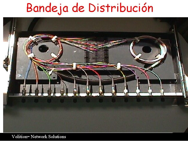 Bandeja de Distribución ™ Volition Network Solutions 