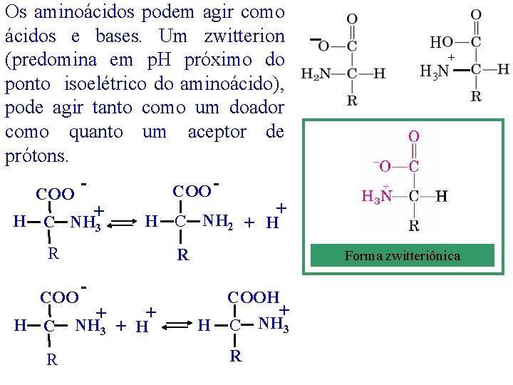 Os aminoácidos podem agir como ácidos e bases. Um zwitterion (predomina em p. H