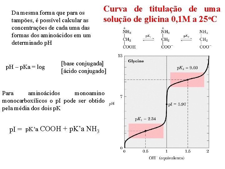 Da mesma forma que para os tampões, é possível calcular as concentrações de cada