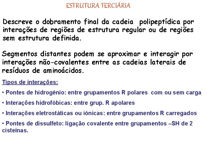 ESTRUTURA TERCIÁRIA Descreve o dobramento final da cadeia polipeptídica por interações de regiões de