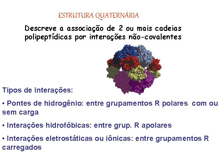ESTRUTURA QUATERNÁRIA Descreve a associação de 2 ou mais cadeias polipeptídicas por interações não-covalentes