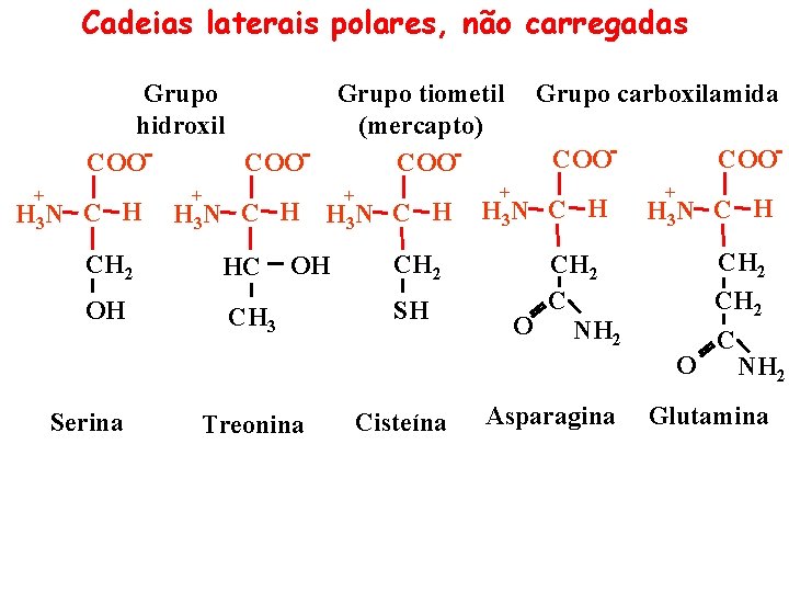 Cadeias laterais polares, não carregadas Grupo hidroxil COO + H 3 N C H