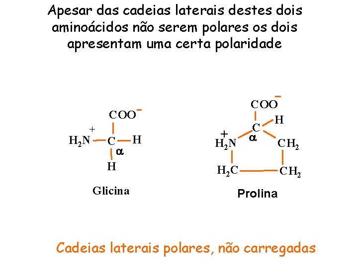 Apesar das cadeias laterais destes dois aminoácidos não serem polares os dois apresentam uma