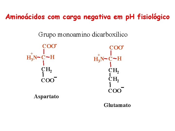 Aminoácidos com carga negativa em p. H fisiológico Grupo monoamino dicarboxílico COO + H