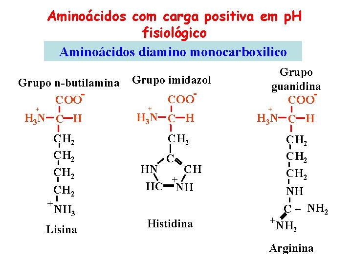 Aminoácidos com carga positiva em p. H fisiológico Aminoácidos diamino monocarboxilico Grupo n-butilamina COO