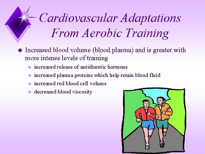 Cardiovascular Adaptations From Aerobic Training u Increased blood volume (blood plasma) and is greater