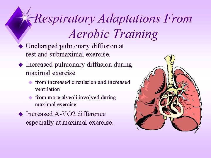 Respiratory Adaptations From Aerobic Training u u Unchanged pulmonary diffusion at rest and submaximal