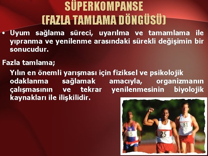 SÜPERKOMPANSE (FAZLA TAMLAMA DÖNGÜSÜ) • Uyum sağlama süreci, uyarılma ve tamamlama ile yıpranma ve