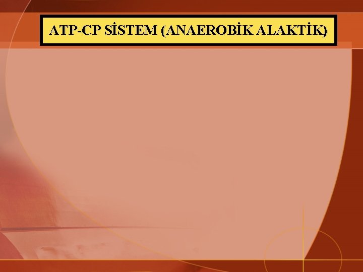 ATP-CP SİSTEM (ANAEROBİK ALAKTİK) 