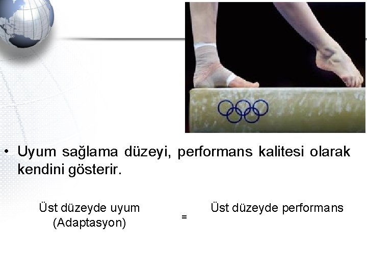  • Uyum sağlama düzeyi, performans kalitesi olarak kendini gösterir. Üst düzeyde uyum (Adaptasyon)