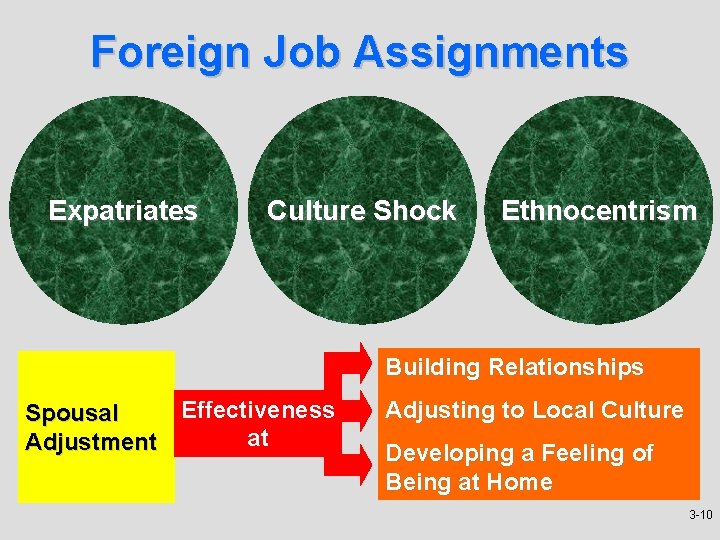 Foreign Job Assignments Expatriates Culture Shock Ethnocentrism Building Relationships Effectiveness Spousal at Adjustment Adjusting