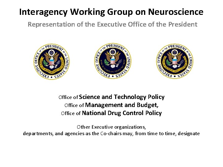 Interagency Working Group on Neuroscience Representation of the Executive Office of the President Office