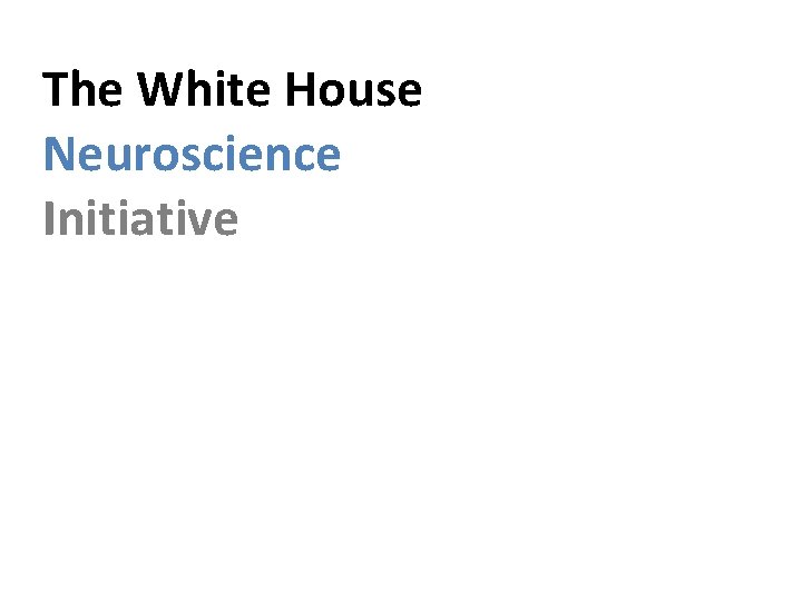 The White House Neuroscience Initiative 