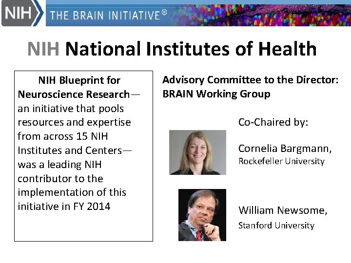 NIH National Institutes of Health The NIH Blueprint for Neuroscience Research— an initiative that