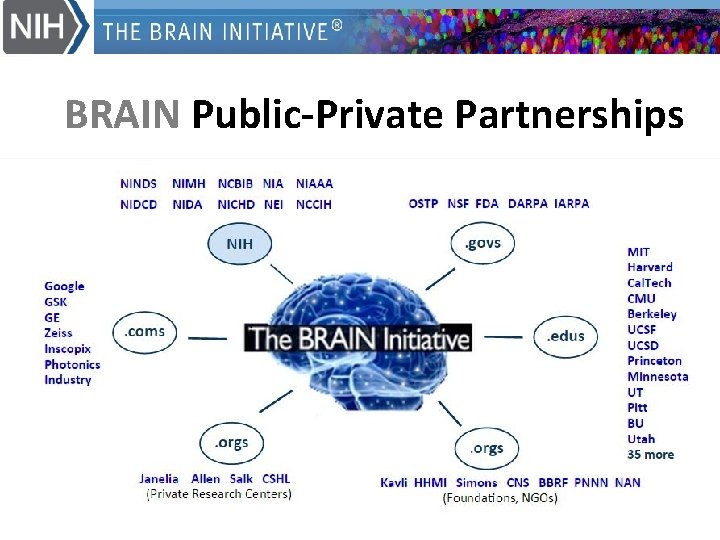 BRAIN Public-Private Partnerships 