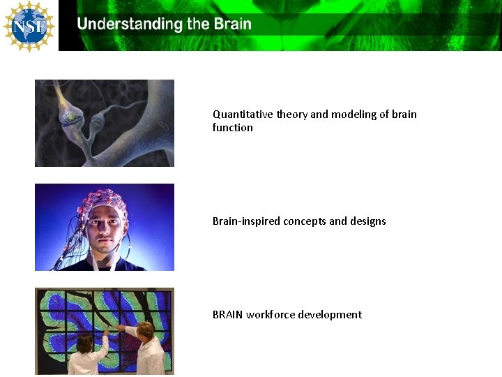  Quantitative theory and modeling of brain function Brain-inspired concepts and designs BRAIN workforce