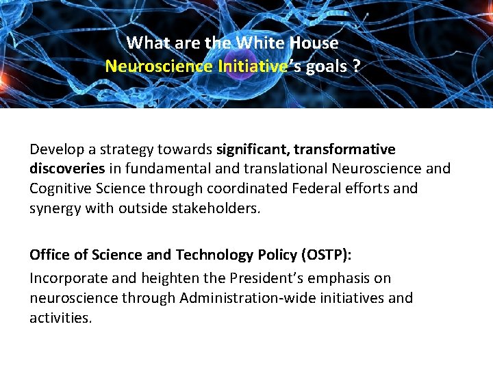 What are the White House Neuroscience Initiative’s goals ? Develop a strategy towards significant,