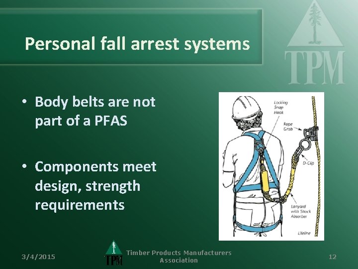 Personal fall arrest systems • Body belts are not part of a PFAS •
