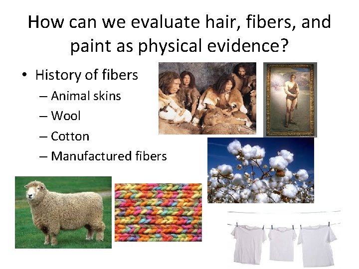 How can we evaluate hair, fibers, and paint as physical evidence? • History of