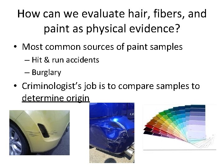 How can we evaluate hair, fibers, and paint as physical evidence? • Most common