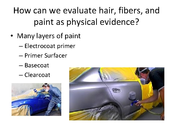 How can we evaluate hair, fibers, and paint as physical evidence? • Many layers