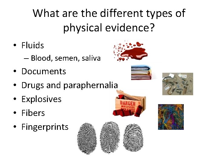 What are the different types of physical evidence? • Fluids – Blood, semen, saliva