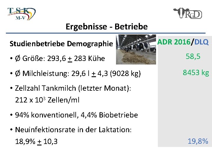 Ergebnisse - Betriebe Studienbetriebe Demographie • Ø Größe: 293, 6 + 283 Kühe •