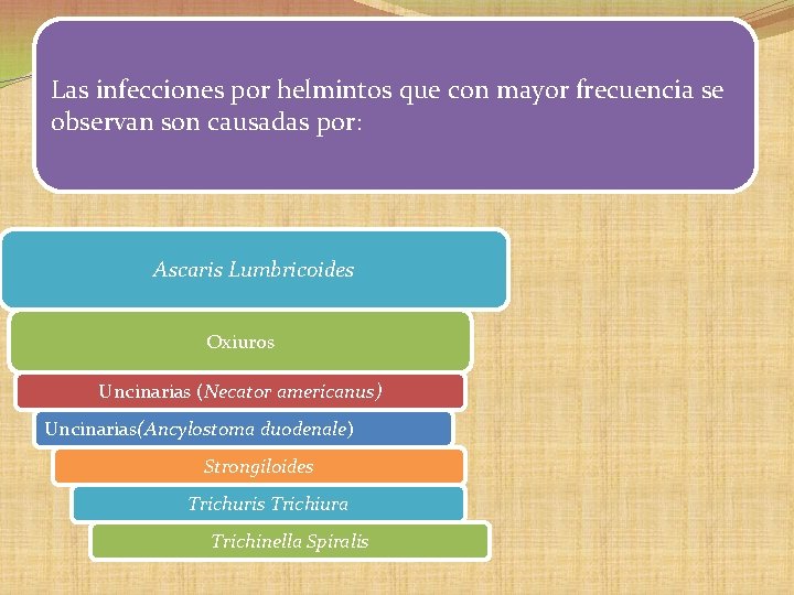 Las infecciones por helmintos que con mayor frecuencia se observan son causadas por: Ascaris Las infecciones por helmintos que con mayor frecuencia se observan son causadas por: Ascaris