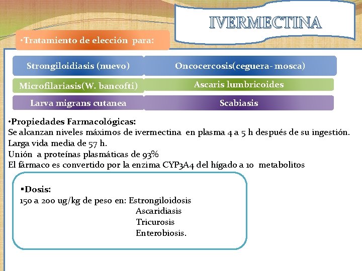 IVERMECTINA • Tratamiento de elección para: Strongiloidiasis (nuevo) Oncocercosis(ceguera- mosca) Ascaris lumbricoides Microfilariasis(W. bancofti) IVERMECTINA • Tratamiento de elección para: Strongiloidiasis (nuevo) Oncocercosis(ceguera- mosca) Ascaris lumbricoides Microfilariasis(W. bancofti)
