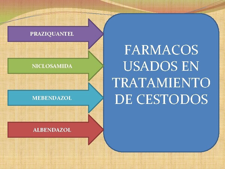 PRAZIQUANTEL NICLOSAMIDA MEBENDAZOL ALBENDAZOL FARMACOS USADOS EN TRATAMIENTO DE CESTODOS PRAZIQUANTEL NICLOSAMIDA MEBENDAZOL ALBENDAZOL FARMACOS USADOS EN TRATAMIENTO DE CESTODOS
