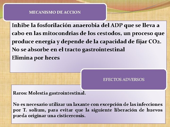 MECANISMO DE ACCION Inhibe la fosforilación anaerobia del ADP que se lleva a cabo MECANISMO DE ACCION Inhibe la fosforilación anaerobia del ADP que se lleva a cabo