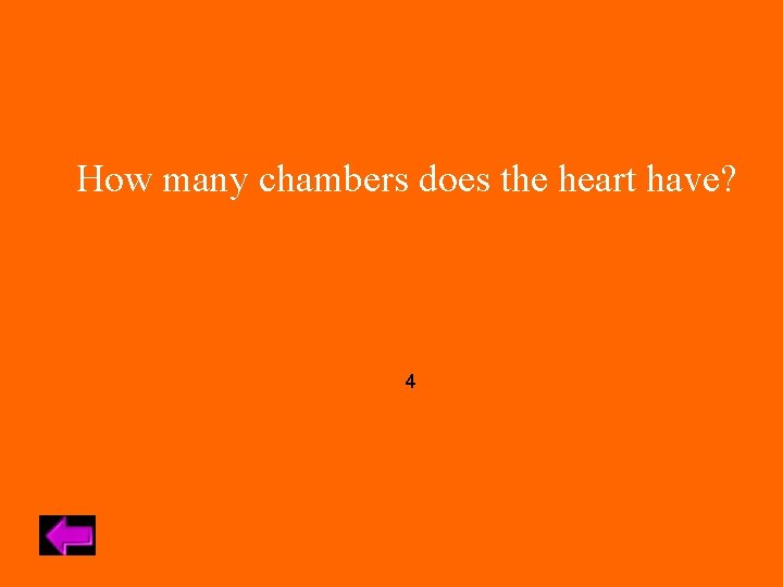 How many chambers does the heart have? 4 