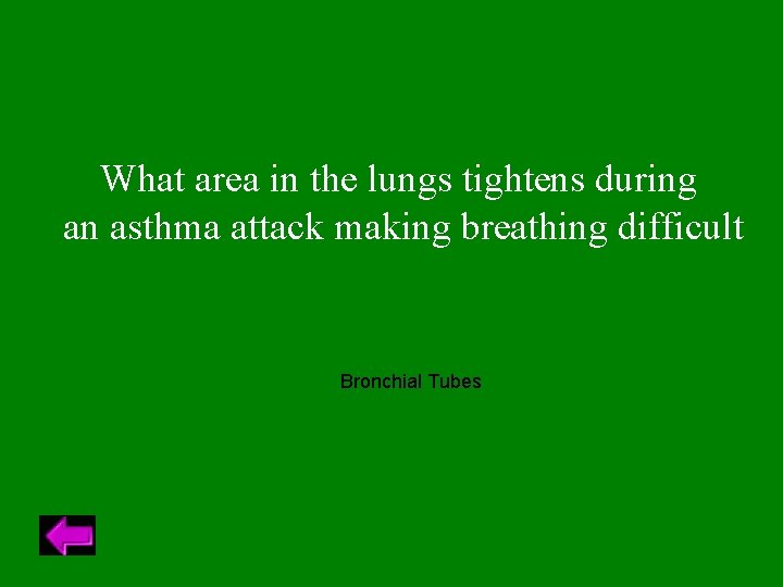 What area in the lungs tightens during an asthma attack making breathing difficult Bronchial